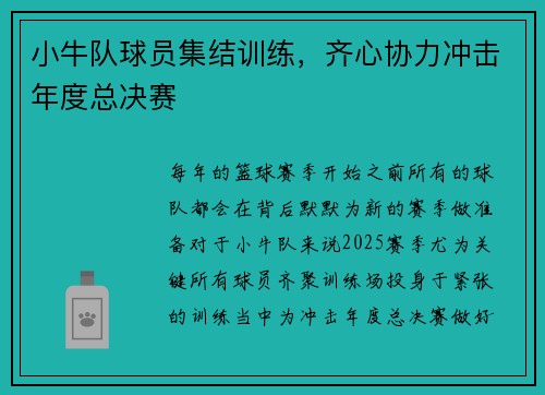 小牛队球员集结训练，齐心协力冲击年度总决赛